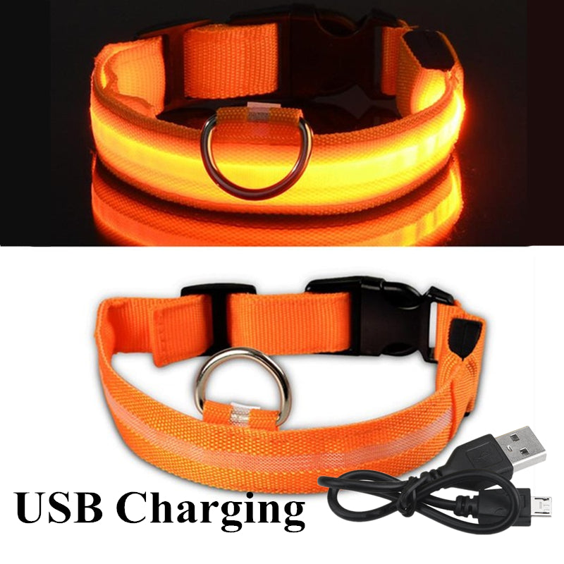 🐕‍🦺 Collar Luminoso LED Recargable(Ajustable)✨📦 Envió Gratis📦