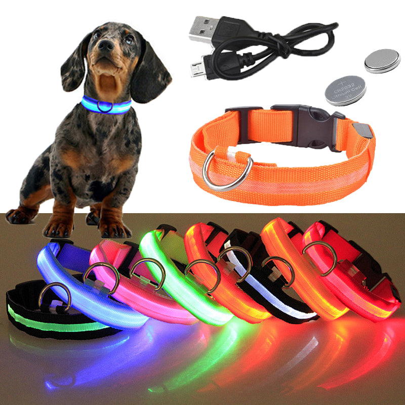 🐕‍🦺 Collar Luminoso LED Recargable(Ajustable)✨📦 Envió Gratis📦
