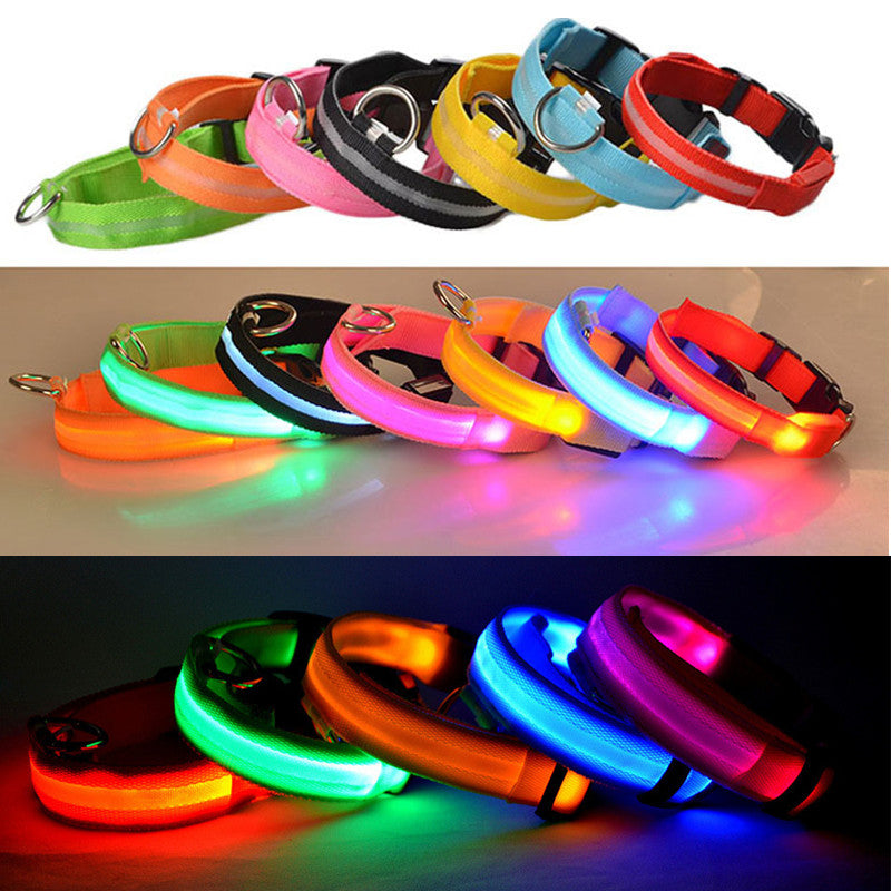 🐕‍🦺 Collar Luminoso LED Recargable(Ajustable)✨📦 Envió Gratis📦