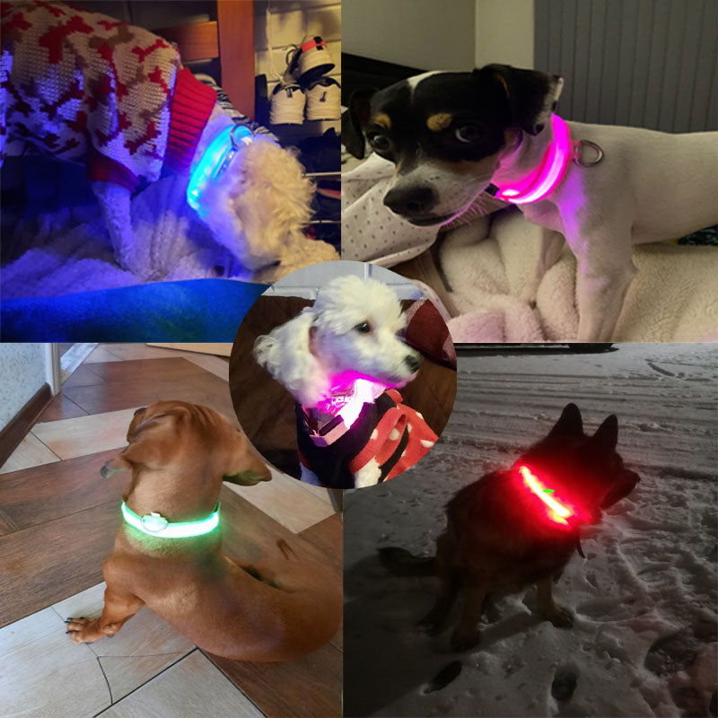 🐕‍🦺 Collar Luminoso LED Recargable(Ajustable)✨📦 Envió Gratis📦